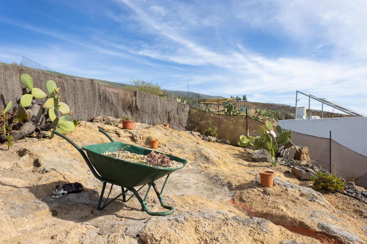 Casa Cueva Gaspara Arico Екстериор снимка